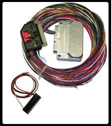 Thunderheart Wiring Harness Diagram from www.thunder-heart.com